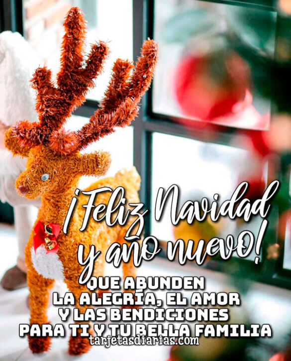 ¡FELIZ NAVIDAD Y AÑO NUEVO! QUE ABUNDEN LA ALEGRÍA, EL AMOR Y LAS BENDICIONES PARA TI Y TU BELLA FAMILIA