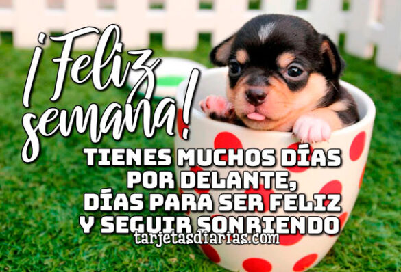 ¡FELIZ SEMANA! TIENES MUCHOS DÍAS POR DELANTE, DÍAS PARA SER FELIZ Y SEGUIR SONRIENDO