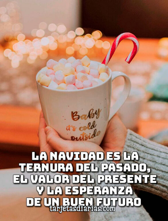 LA NAVIDAD ES LA TERNURA DEL PASADO, EL VALOR DEL PRESENTE Y LA ESPERANZA DE UN BUEN FUTURO