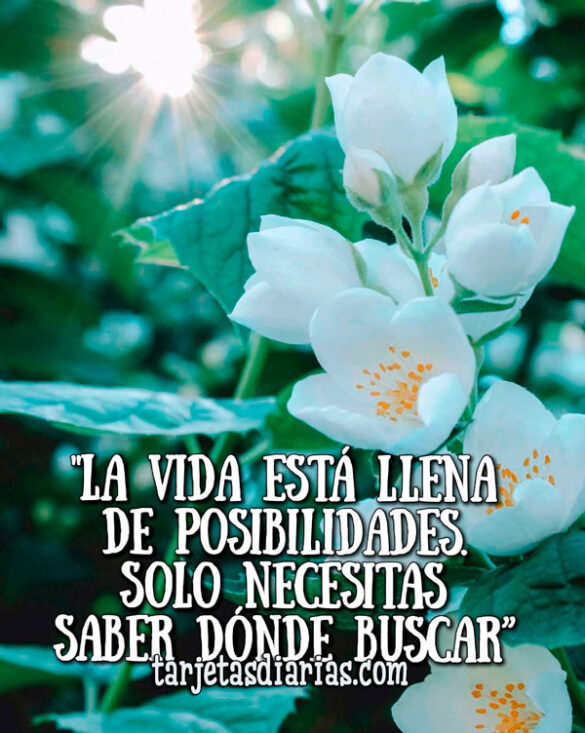 “LA VIDA ESTÁ LLENA DE POSIBILIDADES. SOLO NECESITAS SABER DÓNDE BUSCAR”