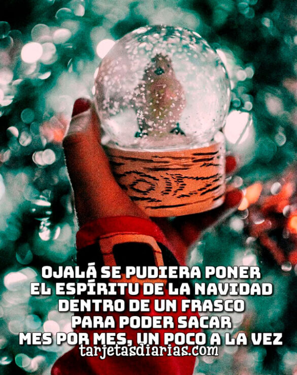 OJALÁ SE PUDIERA PONER EL ESPÍRITU DE LA NAVIDAD DENTRO DE UN FRASCO