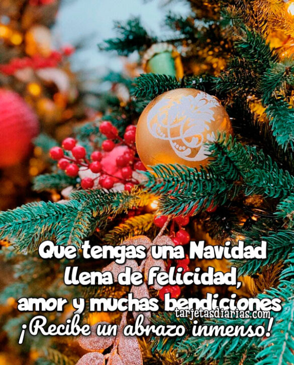 QUE TENGAS UNA NAVIDAD LLENA DE FELICIDAD, AMOR Y MUCHAS BENDICIONES