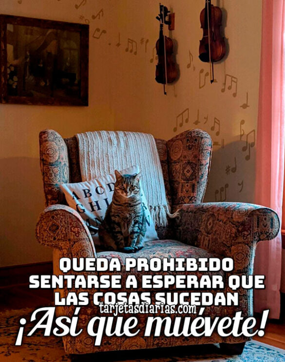 QUEDA PROHIBIDO SENTARSE A ESPERAR QUE LAS COSAS SUCEDAN ¡ASÍ QUE MUÉVETE!