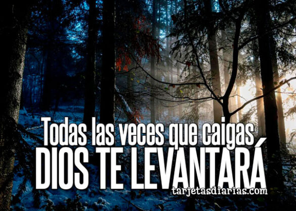 TODAS LAS VECES QUE CAIGAS, DIOS TE LEVANTARÁ
