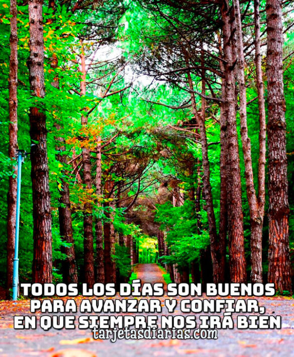 TODOS LOS DÍAS SON BUENOS PARA AVANZAR Y CONFIAR, EN QUE SIEMPRE NOS IRÁ BIEN