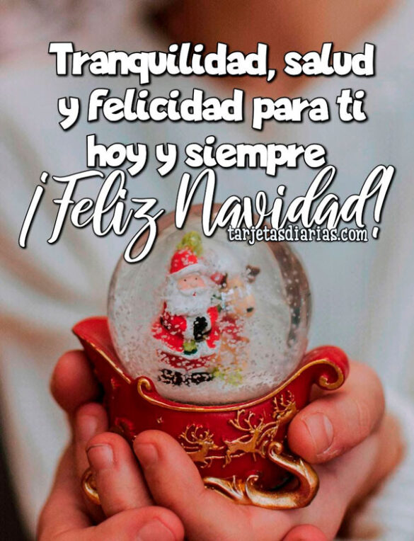 TRANQUILIDAD, SALUD Y FELICIDAD PARA HOY Y SIEMPRE ¡FELIZ NAVIDAD!