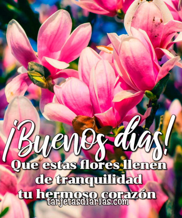 ¡BUENOS DÍAS! QUE ESTAS FLORES LLENEN DE TRANQUILIDAD TU HERMOSO CORAZÓN