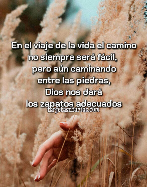 EN EL VIAJE DE LA VIDA EL CAMINO NO SIEMPRE SERÁ FÁCIL