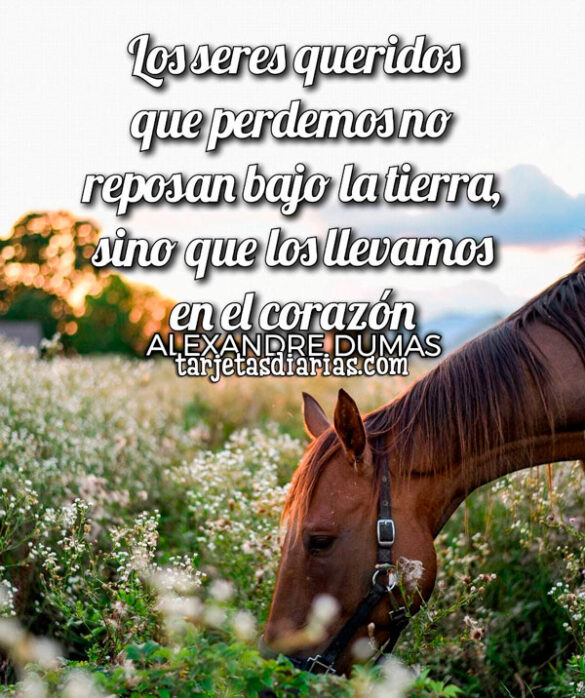 LOS SERES QUERIDOS QUE PERDEMOS NO REPOSAN BAJO TIERRA, SINO QUE LOS LLEVAMOS EN EL CORAZÓN
