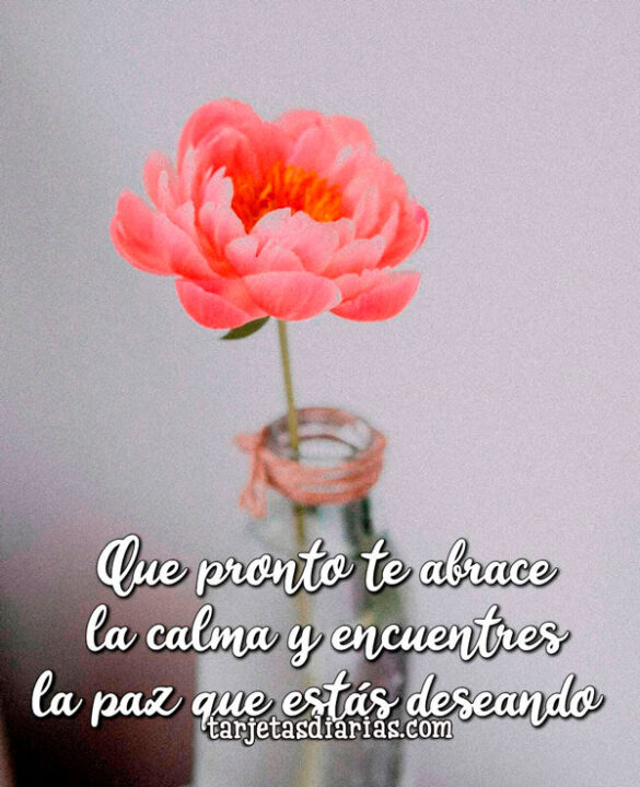 QUE PRONTO TE ABRACE LA CALMA Y ENCUENTRES LA PAZ QUE ESTÁS DESEANDO