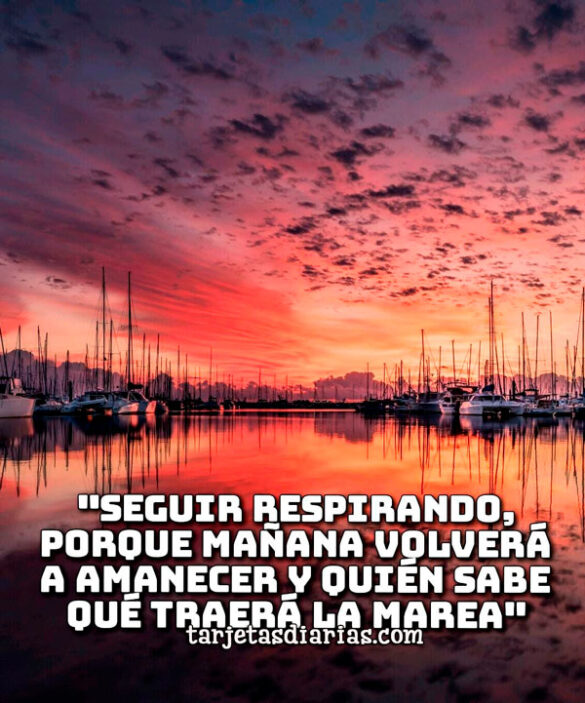 "SEGUIR RESPIRANDO, PORQUE MAÑANA VOLVERÁ A AMANECER Y QUIÉN SABE QUÉ TRAERÁ LA MAREA"