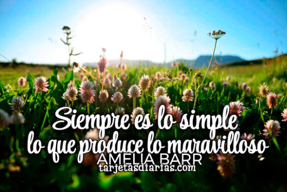 SIEMPRE ES LO SIMPLE LO QUE PRODUCE LO MARAVILLOSO