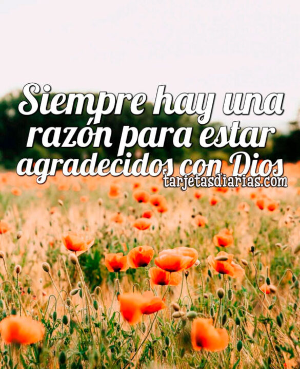SIEMPRE HAY UNA RAZÓN PARA ESTAR AGRADECIDOS CON DIOS