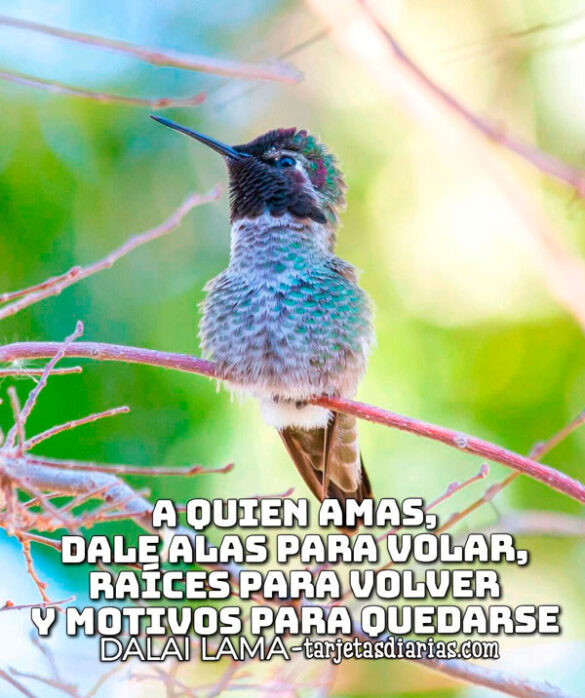 A QUIEN AMAS, DALE ALAS PARA VOLAR, RAÍCES PARA VOLVER Y MOTIVOS PARA QUEDARSE