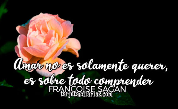 AMAR NO ES SOLAMENTE QUERER, ES SOBRE TODO COMPRENDER