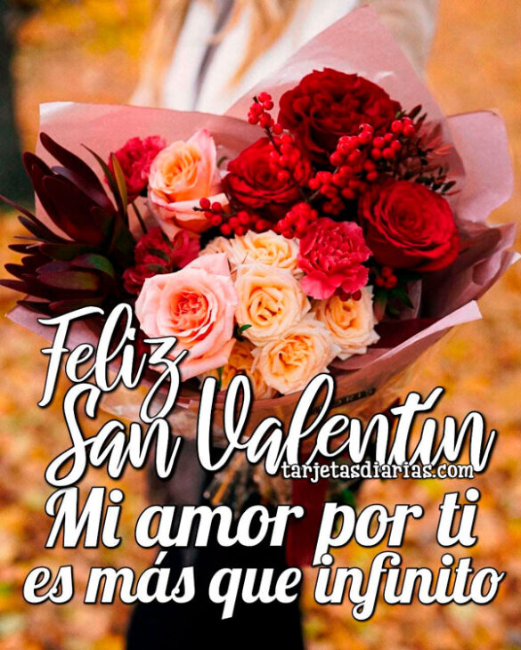 FELIZ SAN VALENTÍN. MI AMOR POR TI ES MÁS QUE INFINITO