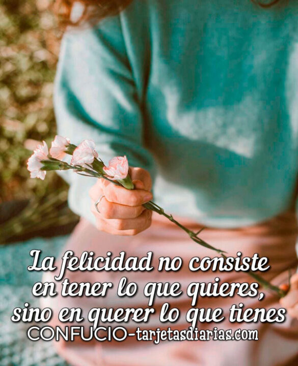 LA FELICIDAD NO CONSISTE EN TENER LO QUE QUIERES, SINO EN QUERER LO QUE TIENES