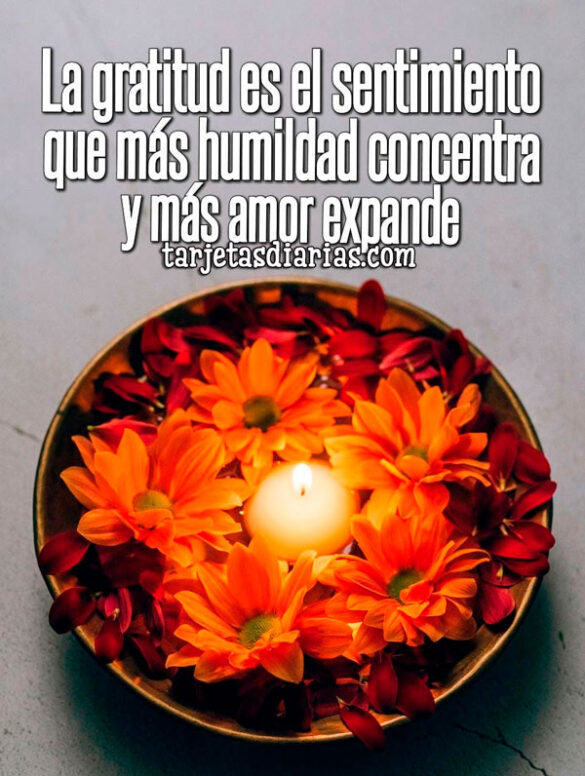 LA GRATITUD ES EL SENTIMIENTO QUE MÁS HUMILDAD CONCENTRA Y MÁS AMOR EXPANDE