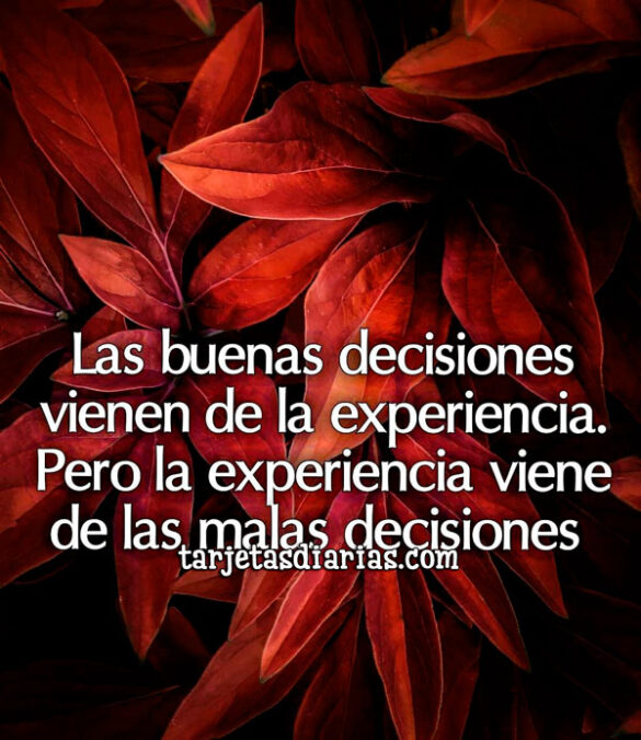 LAS BUENAS DECISIONES VIENEN DE LA EXPERIENCIA. PERO LA EXPERIENCIA VIENE DE LAS MALAS DECISIONES