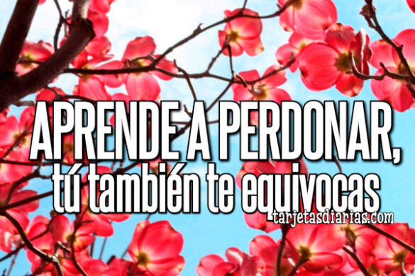 APRENDE A PERDONAR, TÚ TAMBIÉN TE EQUIVOCAS