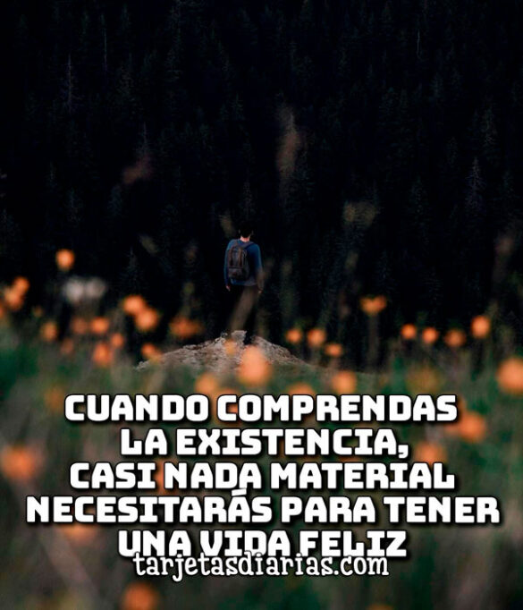 CUANDO COMPRENDAS LA EXISTENCIA, CASI NADA MATERIAL NECESITARÁS PARA TENER UNA VIDA FELIZ