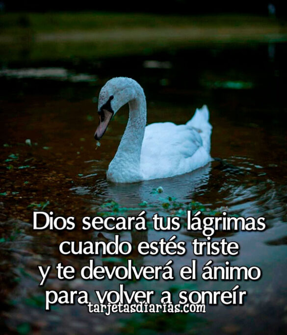 DIOS SECARÁ TUS LÁGRIMAS CUANDO ESTÉS TRISTE Y TE DEVOLVERÁ EL ÁNIMO PARA VOLVER A SONREÍR