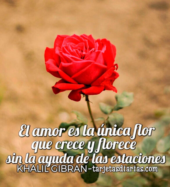 EL AMOR ES LA ÚNICA FLOR QUE CRECE Y FLORECE SIN LA AYUDA DE LAS ESTACIONES