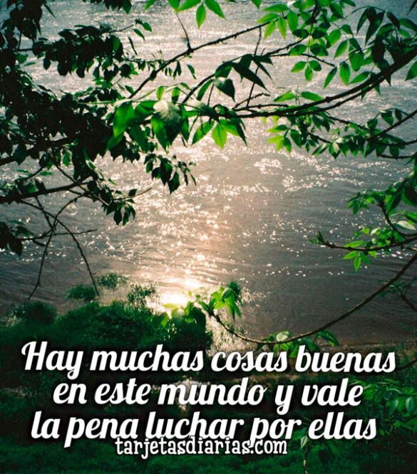 HAY MUCHAS COSAS BUENAS EN ESTE MUNDO Y VALE LA PENA LUCHAR POR ELLAS
