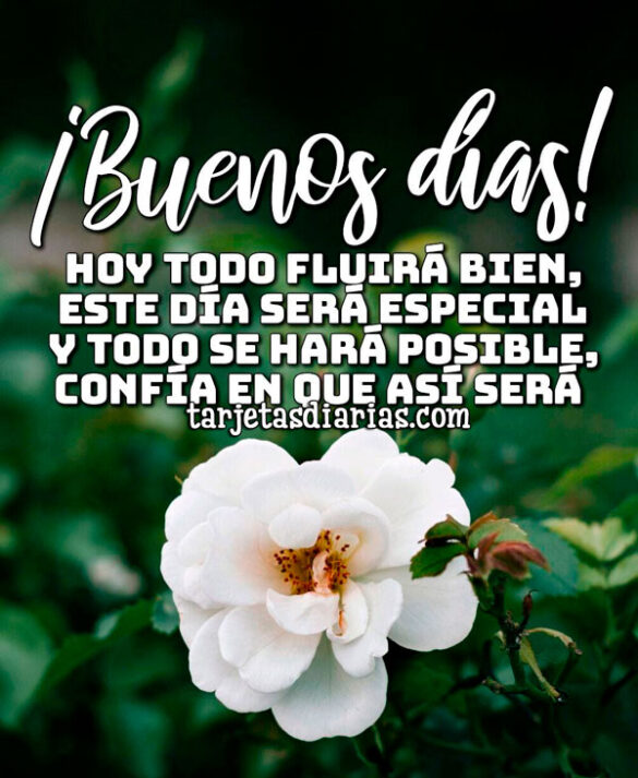 HOY TODO FLUIRÁ BIEN, ESTE DÍA SERÁ ESPECIAL Y TODO SE HARÁ POSIBLE, CONFÍA EN QUE ASÍ SERÁ