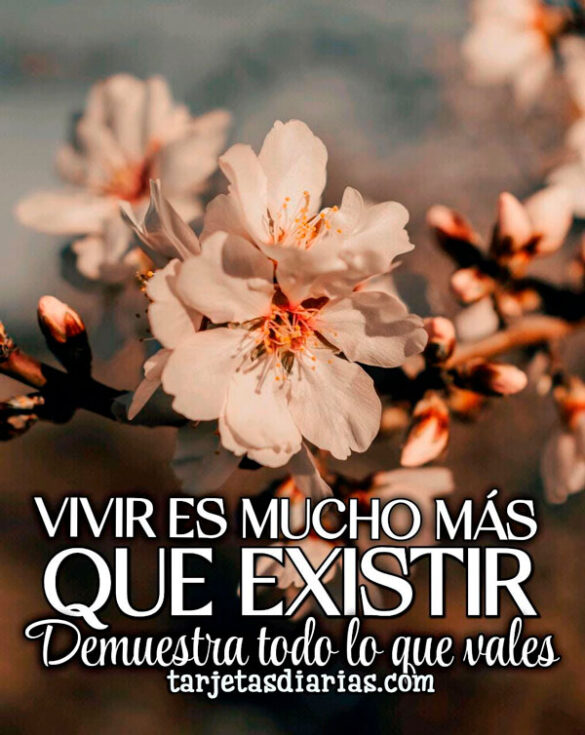 VIVIR ES MUCHO MÁS QUE EXISTIR. DEMUESTRA TODO LO QUE VALES