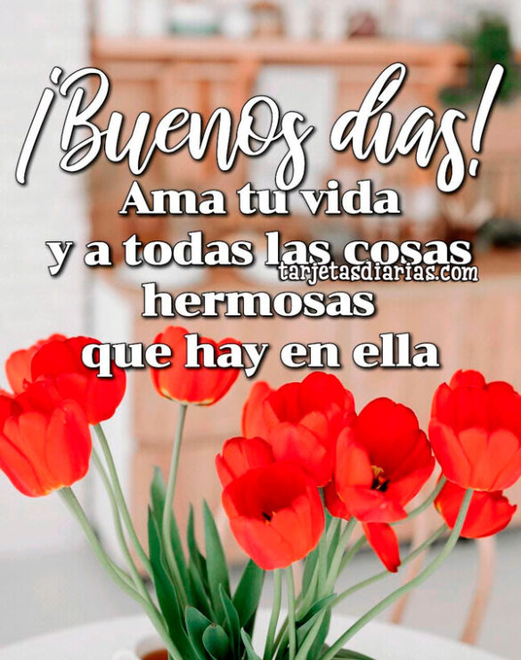 AMA TU VIDA Y A TODAS LAS COSAS HERMOSAS QUE HAY EN ELLA