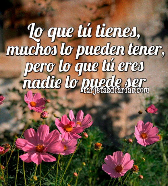 LO QUE TÚ TIENES MUCHOS LO PUEDEN TENER, PERO LO QUE TÚ ERES NADIE LO PUEDE SER