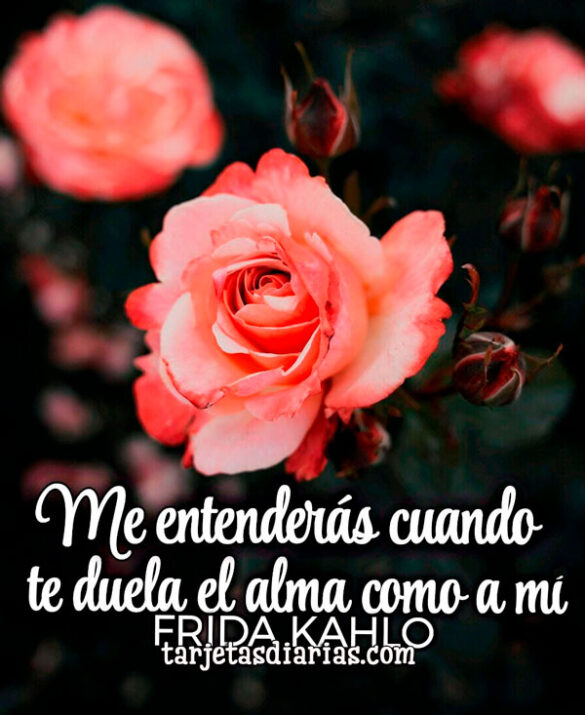 ME ENTENDERÁS CUANDO TE DUELA EL ALMA COMO A MÍ