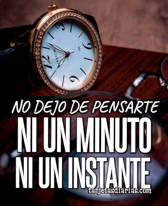 NO DEJO DE PENSARTE, NI UN MINUTO NI UN INSTANTE