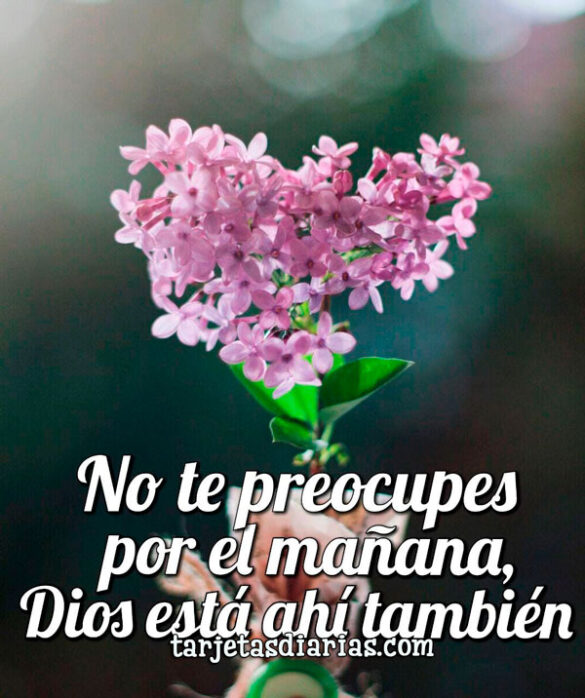 NO TE PREOCUPES POR EL MAÑANA, DIOS ESTÁ AHÍ TAMBIÉN