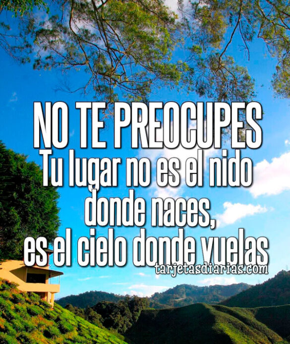 NO TE PREOCUPES. TU LUGAR NO ES EL NIDO DONDE NACES, ES EL CIELO DONDE VUELAS