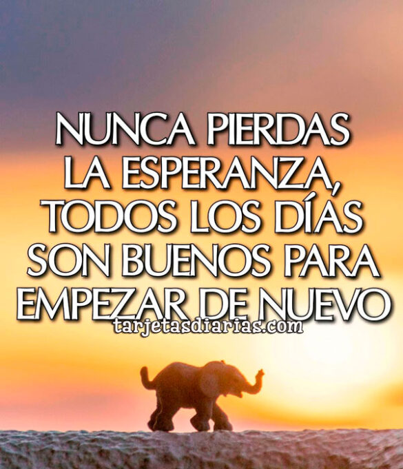NUNCA PIERDAS LA ESPERANZA, TODOS LOS DÍAS SON BUENOS PARA EMPEZAR DE NUEVO