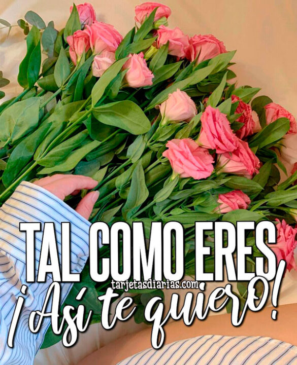 TAL COMO ERES ¡ASÍ TE QUIERO!