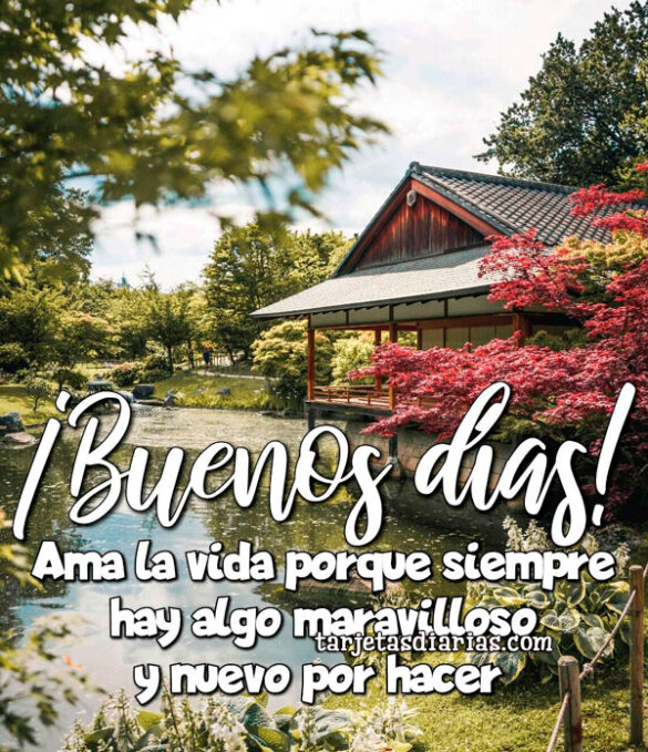 AMA LA VIDA PORQUE SIEMPRE HAY ALGO MARAVILLOSO Y NUEVO POR HACER