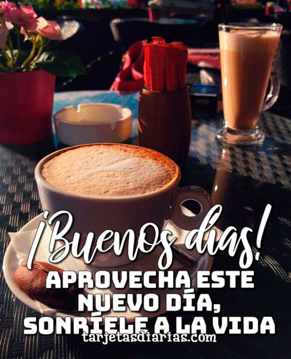 APROVECHA ESTE NUEVO DÍA, SONRÍELE A LA VIDA