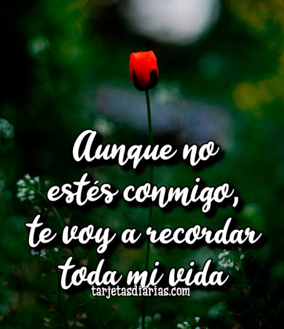 AUNQUE NO ESTÉS CONMIGO, TE VOY A RECORDAR TODA MI VIDA