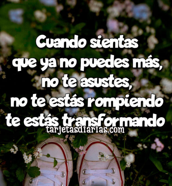 CUANDO SIENTAS QUE YA NO PUEDES MÁS, NO TE ASUSTES, NO TE ESTÁS ROMPIENDO TE ESTÁS TRANSFORMANDO