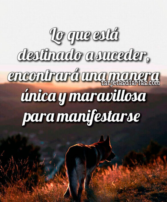LO QUE ESTÁ DESTINADO A SUCEDER ENCONTRARÁ UNA MANERA ÚNICA Y MARAVILLOSA PARA MANIFESTARSE