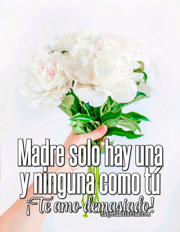 MADRE SOLO HAY UNA Y NINGUNA COMO TÚ
