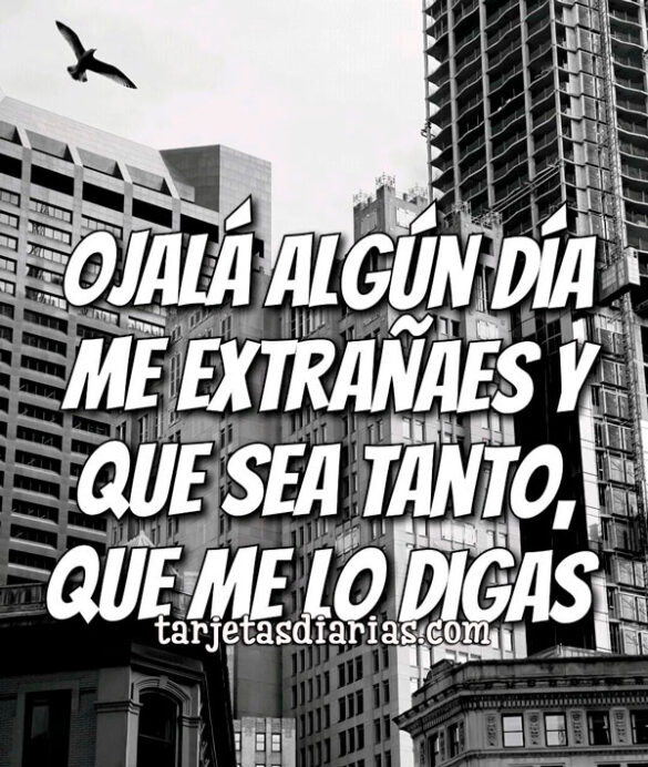 OJALÁ ALGÚN DÍA ME EXTRAÑES Y QUE SEA TANTO, QUE ME LO DIGAS