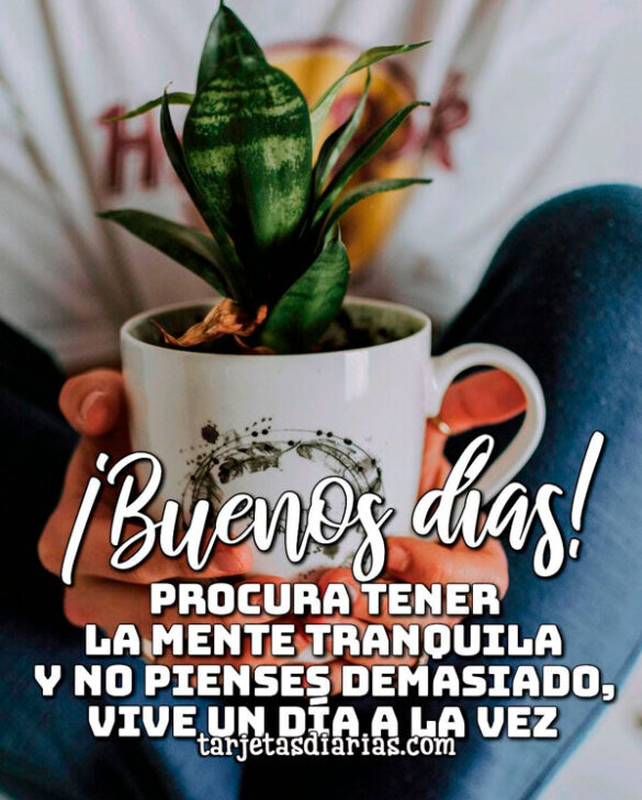 PROCURA TENER LA MENTE TRANQUILA Y NO PIENSES DEMASIADO, VIVE UN DÍA A LA VEZ