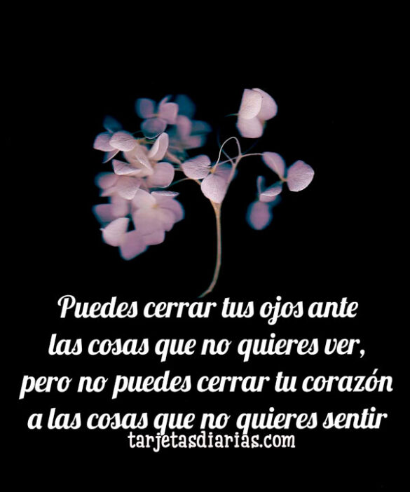 PUEDES CERRAR TUS OJOS ANTE LAS COSAS QUE NO QUIERES VER, PERO NO PUEDES CERRAR TU CORAZÓN A LAS QUE NO QUIERES SENTIR