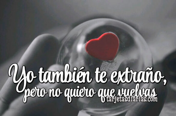 YO TAMBIÉN TE EXTRAÑO, PERO NO QUIERO QUE VUELVAS