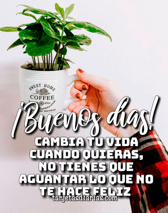 CAMBIA TU VIDA CUANDO QUIERAS, NO TIENES QUE AGUANTAR LO QUE NO TE HACE FELIZ