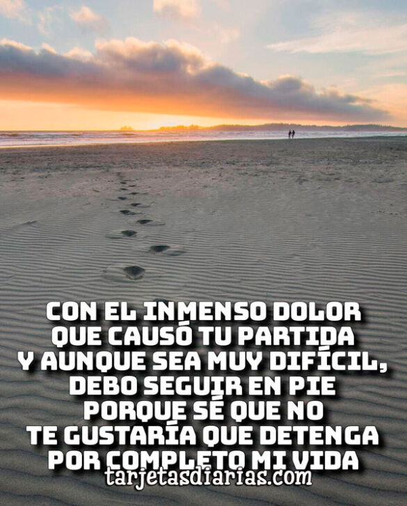 CON EL INMENSO DOLOR QUE ME CAUSÓ TU PARTIDA Y AUNQUE SEA MUY DIFÍCIL, DEBO SEGUIR EN PIE